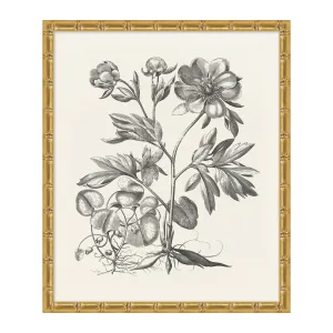 Bessler Study In Neutral 3