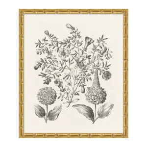 Bessler Study In Neutral 5