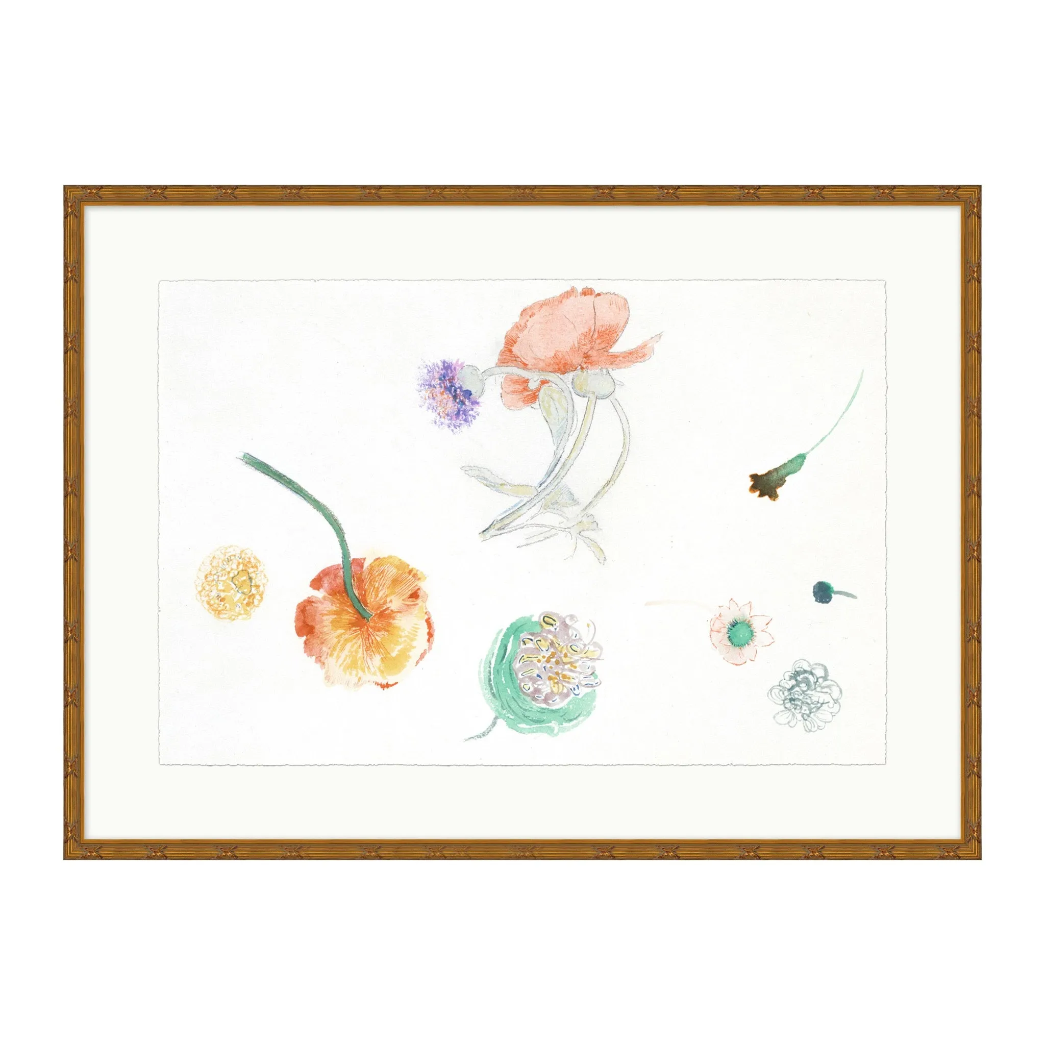 Croquis De Fleur