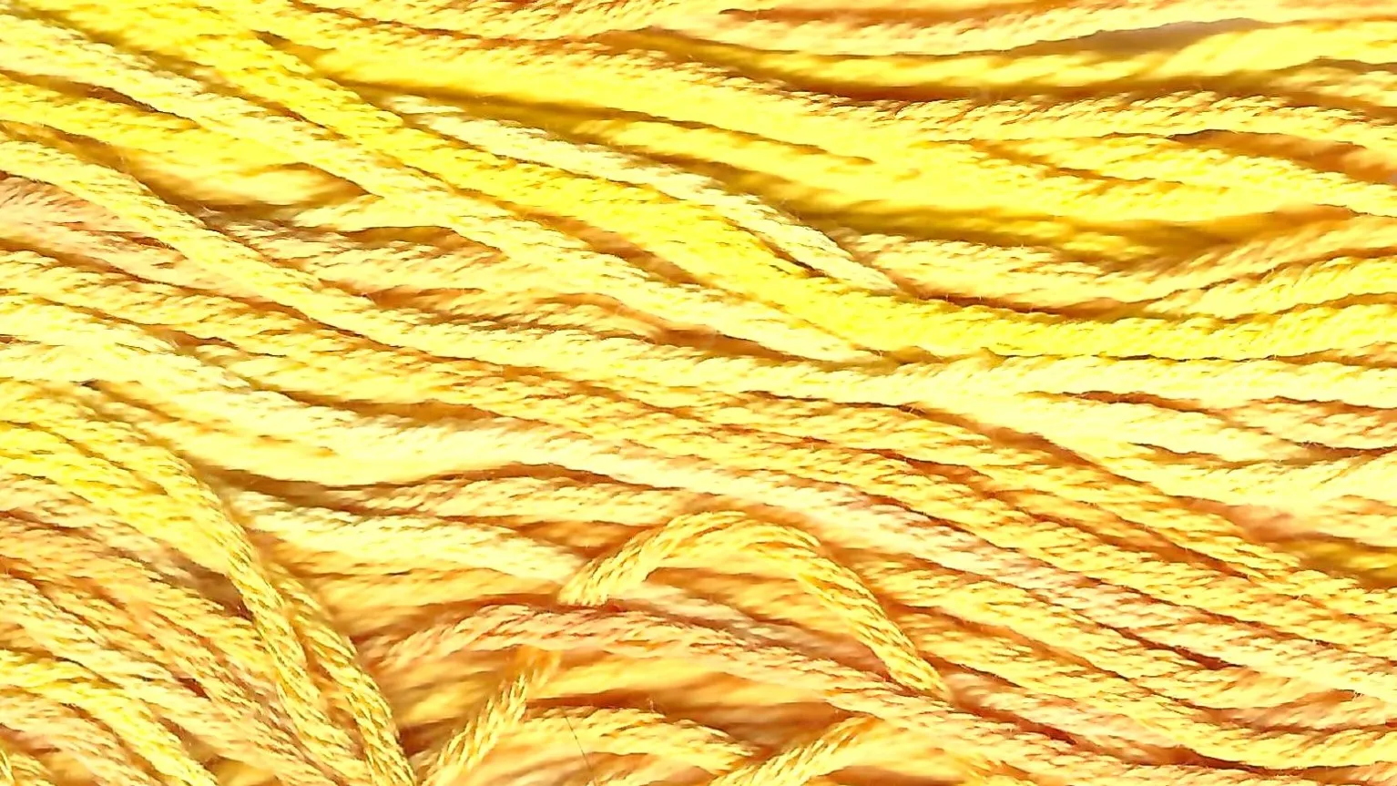 Daffodil #315 - 12 Stranded Silk Thread - Gloriana Silk