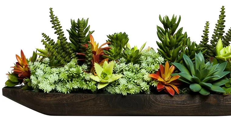 Succulent Melange Long Yacht Silks Centerpiece Arrangement