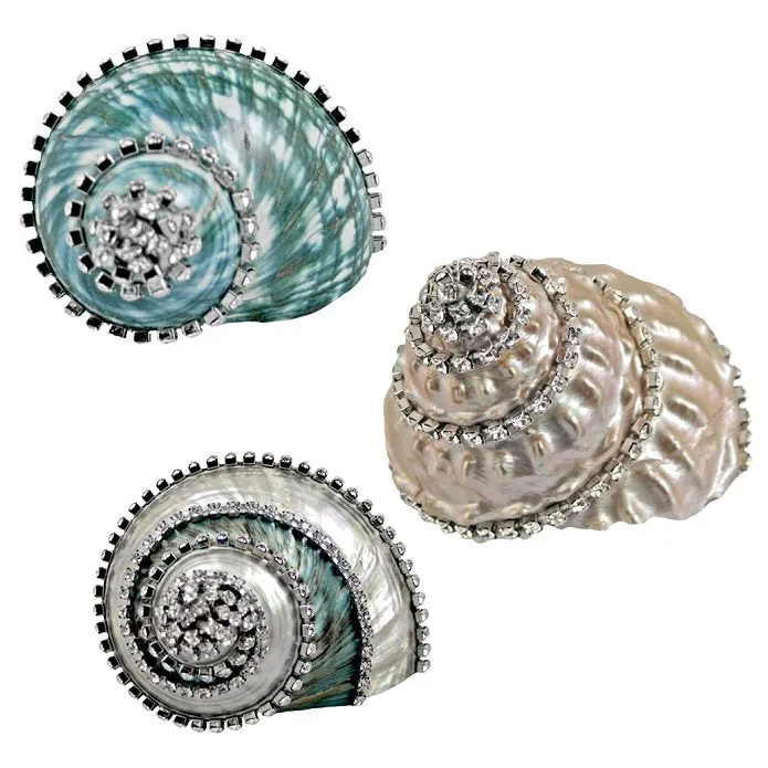 Swarovski Crystal Luxury Seashell Set